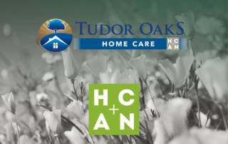 Tudor