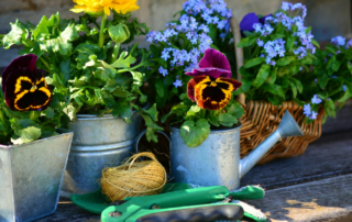gardening