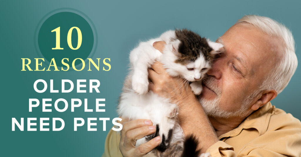 Happy elderly man cuddling with white and black kitten