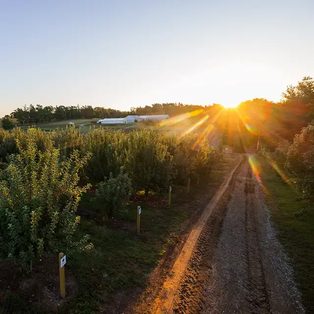 the sun is setting in a landscape photo showing the tree tops and farm buildings in the background on Arbor Day farm near Nebraska City, Nebraska in Otoe County